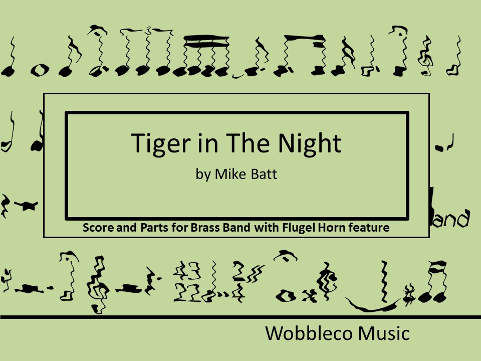 Tiger in The Night Image